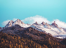 张帅组合、王雅繁组合晋级美网女双次轮